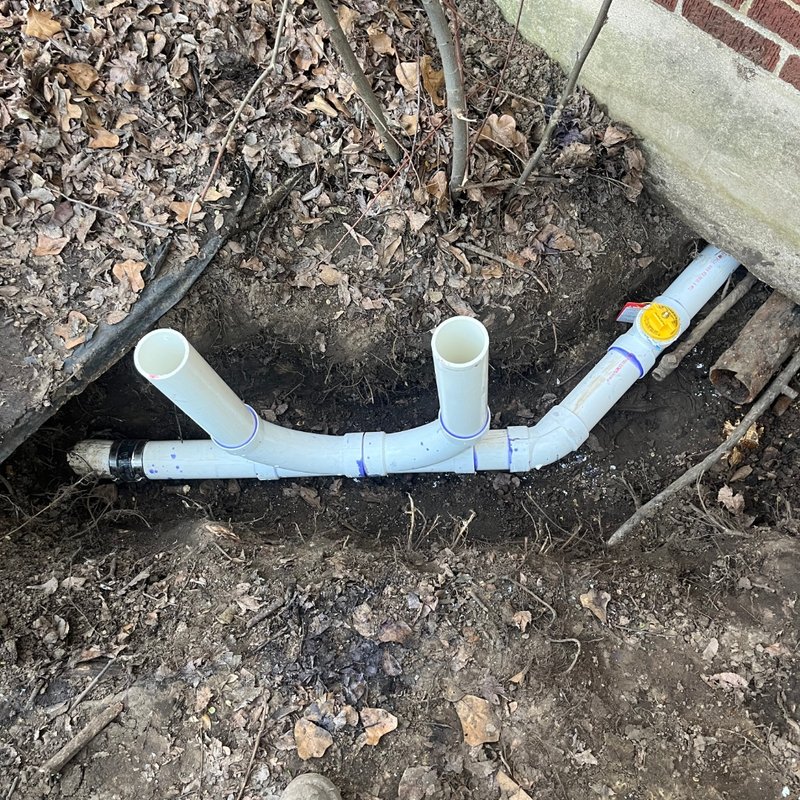 Tree Root Sewer Damage in Flower Mound, TX: Prevention & Repair Guide