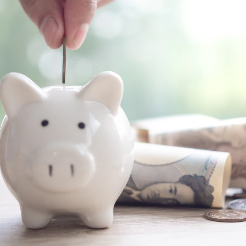 Home About Services Gallery Contact Locations Served Blog Why Denton’s Tree Roots Are A Major Threat to Sewer Lines