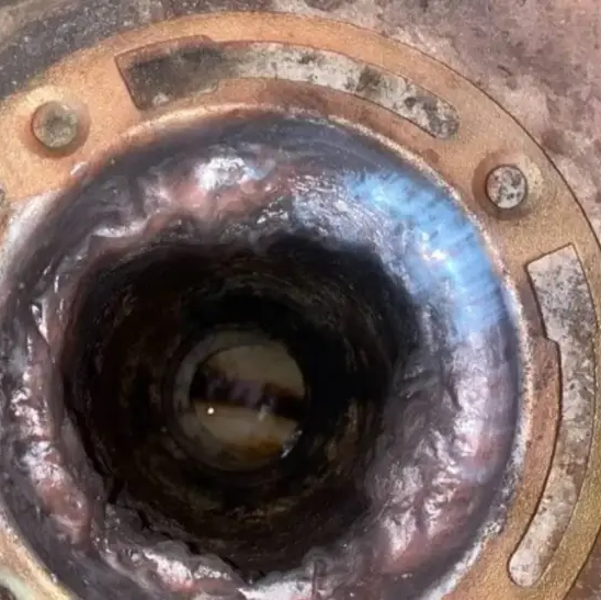 Well Water vs. City Water