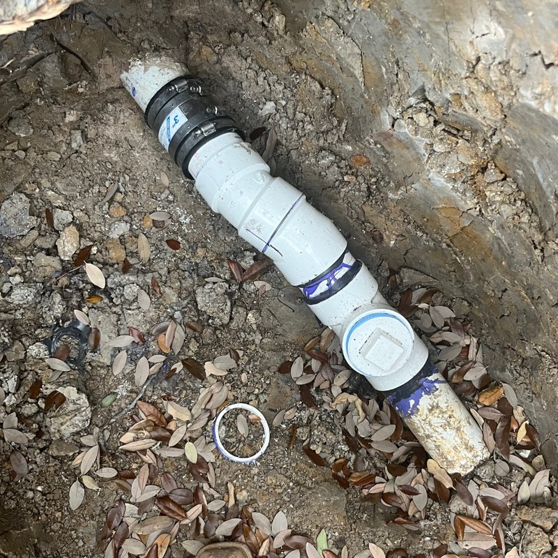 Why Denton’s Tree Roots Are A Major Threat to Sewer Lines — Haltex Plumbing