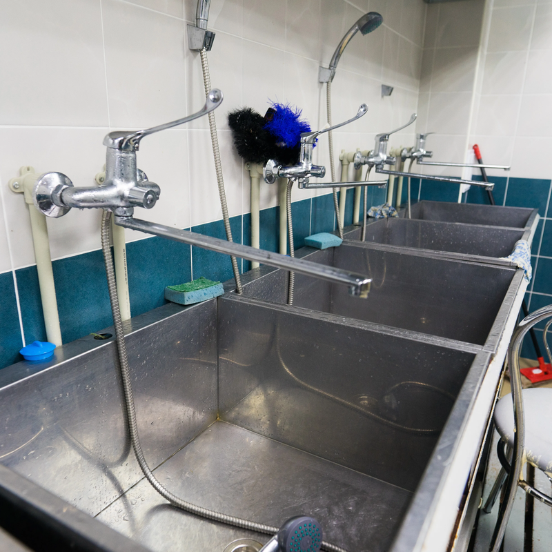 Top Plumbing Challenges For Denton’s Restaurants and Breweries