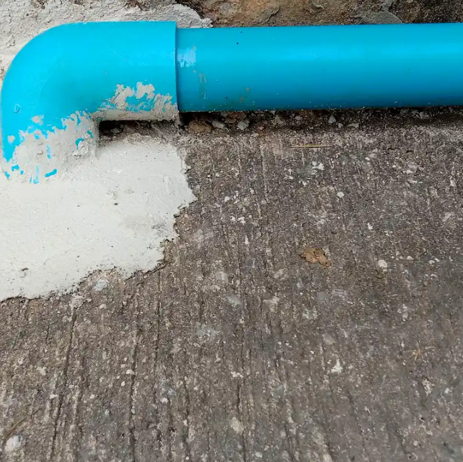 How Tree Roots Damage Sewer Lines in Denton County